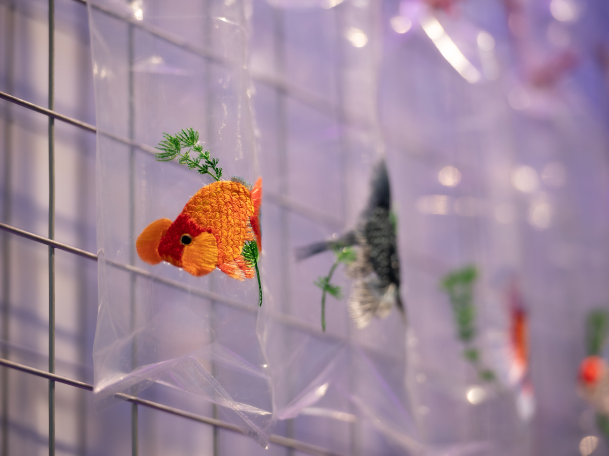 Angel Hui's Aquarium