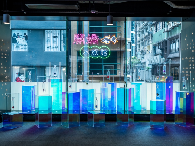 Angel Hui's Aquarium